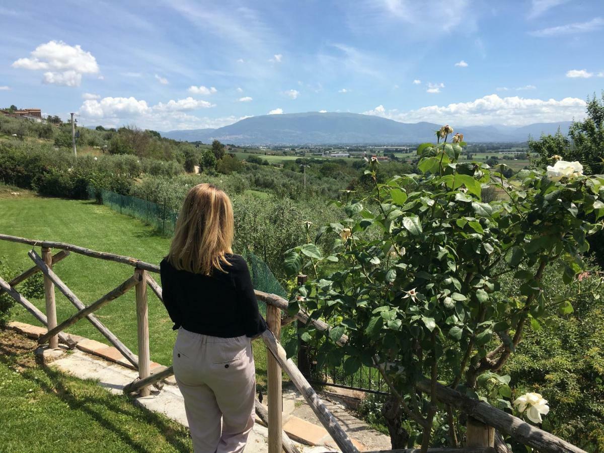 Agriturismo Wine Casale Villa Chiara Torgiano Eksteriør bilde